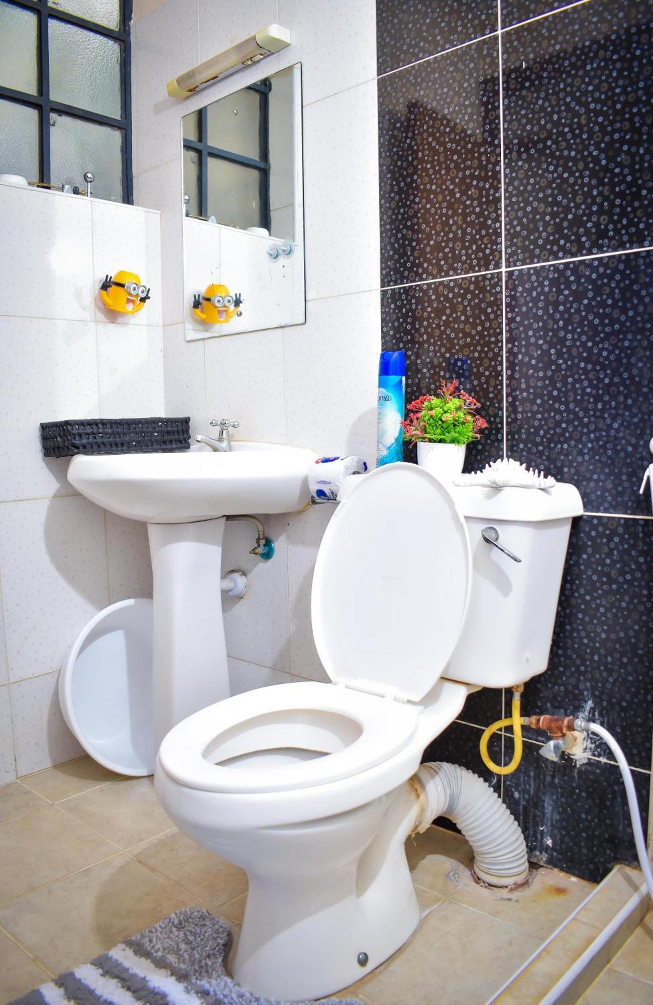 Apartment Madini Furnished 1 Near Jkia Sgr Nairobi